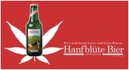NAC5-1-Cerveza-HanfblUte