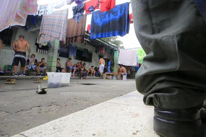Actualmente hay ms de 100 privados de libertad de ms en ese mbito de La Reforma. Entre los reos, hay gatos. Foto: Rafael Pacheco