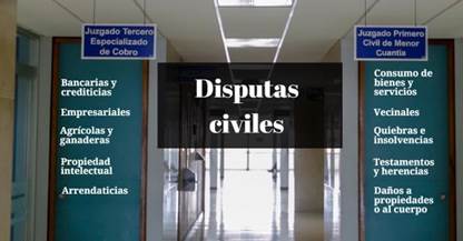Materias que se discuten en juzgados civiles.