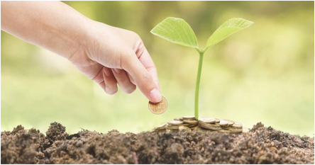 Descripcin: Alguien pone monedas sobre una planta