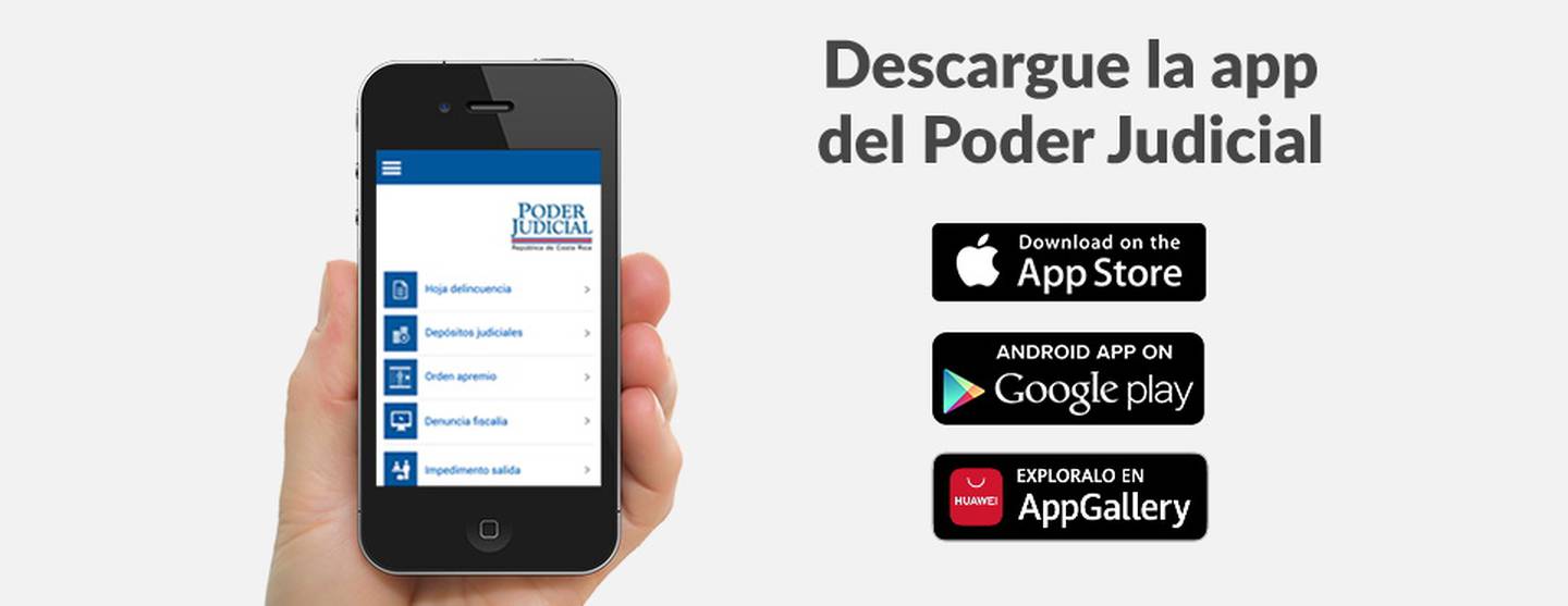 Imagen de la pantalla de un celular con letras

Descripción generada automáticamente